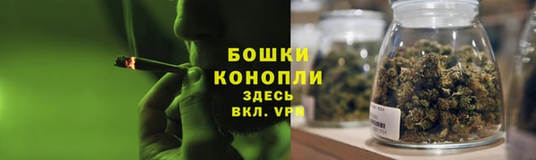 трава Козельск