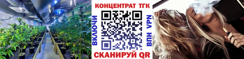 Купить закладки  Сковородино  Дистиллят ТГК гашишное масло 